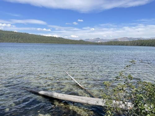 A serene lake with clear water, surrounded by trees and mountains under a blue sky with fluffy clouds.