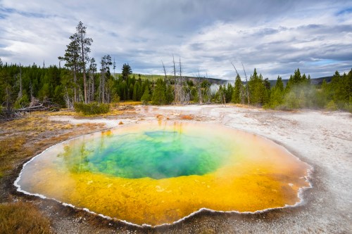 A vibrant geothermal hot spring with turquoise water and yellow-orange mineral deposits, surrounded by trees and a cloudy sky.