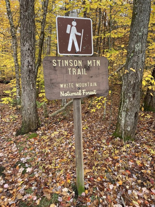 Trail sign for Stinson Mountain in White Mountain National Forest, surrounded by autumn foliage.