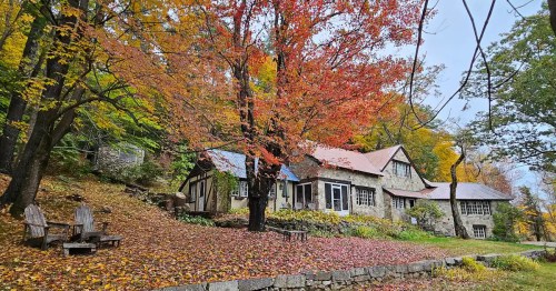 A charming stone house surrounded by vibrant autumn foliage and fallen leaves, with a large tree in the foreground.