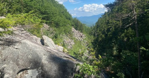 A rocky ravine surrounded by lush green trees and distant mountains under a blue sky with scattered clouds.