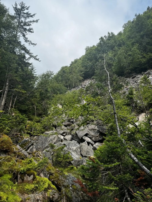 A rocky hillside covered in greenery, with trees and a cloudy sky above.