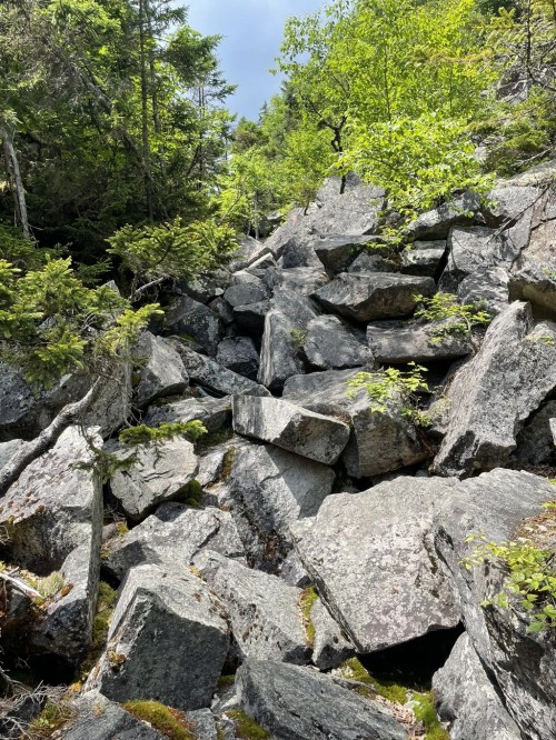 A rocky hillside covered with large boulders and scattered greenery under a cloudy sky.