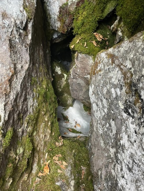 A narrow crevice between large rocks, covered in moss and scattered leaves, revealing a patch of ice.