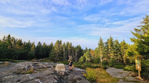 A person stands on a rocky outcrop surrounded by trees, with a clear sky above and a signpost nearby.