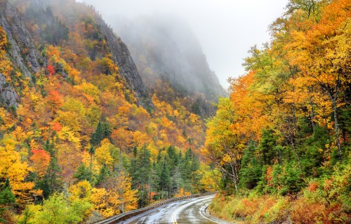 A winding road through vibrant autumn foliage, with misty mountains in the background.