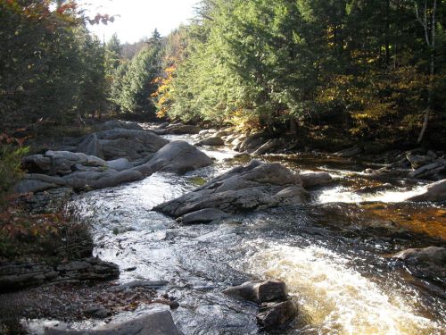 A serene river flows through rocky terrain, surrounded by lush green trees and autumn foliage.