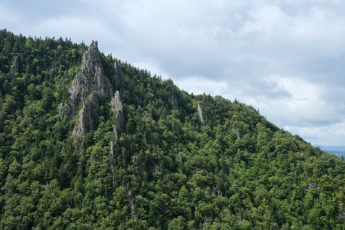 A rugged mountain peak rises above a dense forest under a cloudy sky.