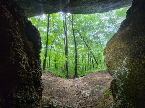 View from inside a rocky cave, looking out at a lush green forest with tall trees and soft natural light.