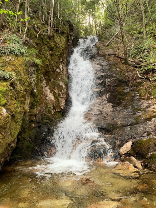 A serene waterfall cascading down a rocky slope, surrounded by lush greenery and trees.
