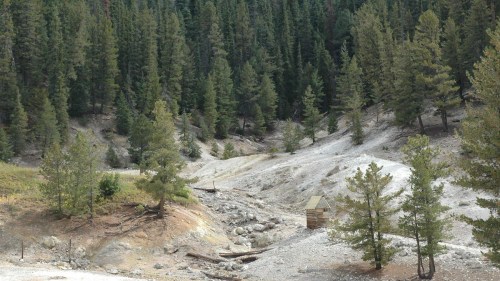 A dry, rocky landscape surrounded by tall green trees, with a small wooden structure in the foreground.