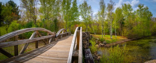 A wooden bridge arches over a serene pond, surrounded by lush green trees and a clear blue sky.
