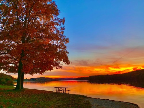 A serene lakeside scene at sunset, featuring a vibrant orange sky, a large tree, and a picnic table by the water.