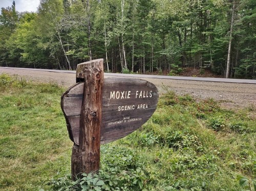 Wooden sign for Moxie Falls Scenic Area, surrounded by greenery and trees, near a gravel road.