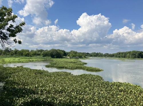 A serene landscape featuring a calm river surrounded by lush greenery and fluffy clouds in a blue sky.