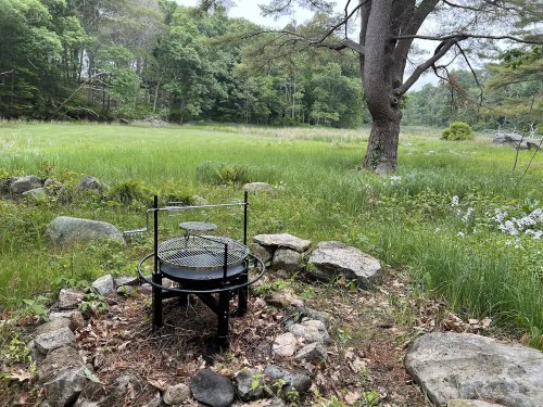 A fire pit surrounded by stones in a grassy field, with trees in the background under a cloudy sky.