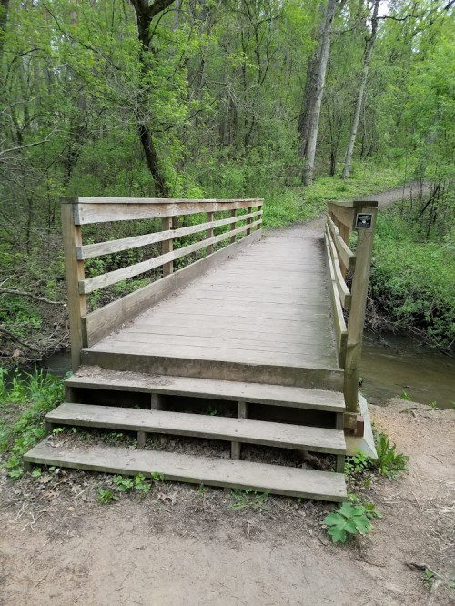 A wooden bridge over a small stream, surrounded by lush green trees and vegetation.