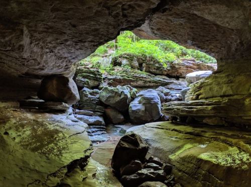 A view from inside a cave, showing rocks and greenery outside, with sunlight filtering through the opening.