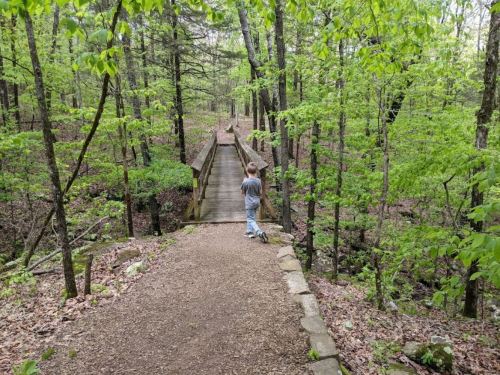 A child stands on a path in a lush green forest, looking towards a wooden bridge ahead.