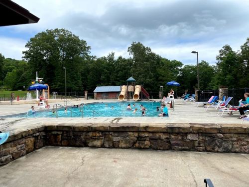 A swimming pool with a water slide, surrounded by lounge chairs and trees, with people enjoying the water.