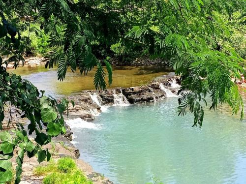A serene river scene with gentle waterfalls, surrounded by lush green foliage and clear blue water.