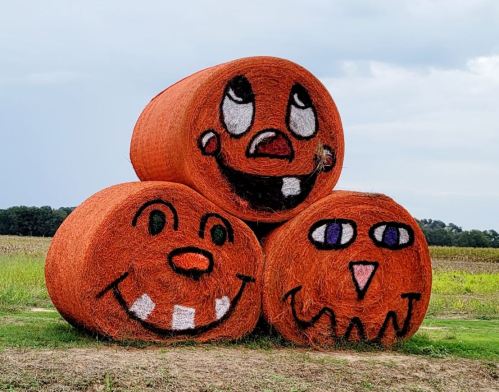 Three large hay bales painted as smiling pumpkins, set against a cloudy sky and green field.