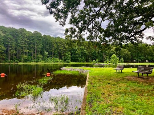 A serene lake surrounded by trees, with benches on the shore and orange buoys floating in the water.
