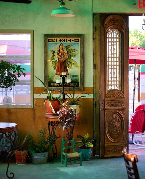 A vibrant interior featuring a vintage Mexico poster, plants, and an ornate wooden door in a cozy setting.