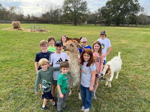 A group of children poses with a llama and a goat in a grassy field, with trees and hay bales in the background.