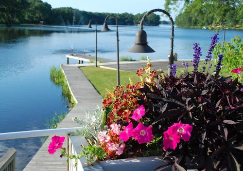 A scenic view of a lake with a wooden dock, surrounded by vibrant flowers and lampposts under a clear blue sky.