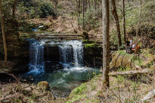 A serene forest scene featuring a waterfall, surrounded by trees, with people enjoying the view nearby.