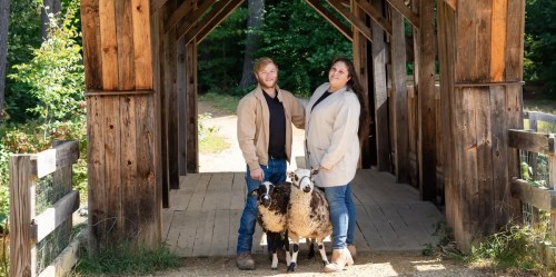 A couple stands under a wooden bridge, holding two sheep, surrounded by greenery.