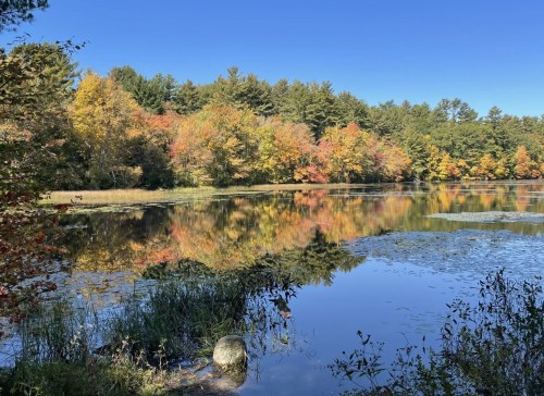 A serene lake surrounded by colorful autumn trees, reflecting the vibrant foliage under a clear blue sky.