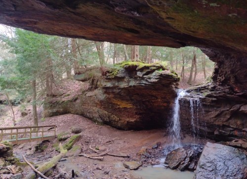 A serene forest scene featuring a waterfall cascading over rocks under a moss-covered ledge.
