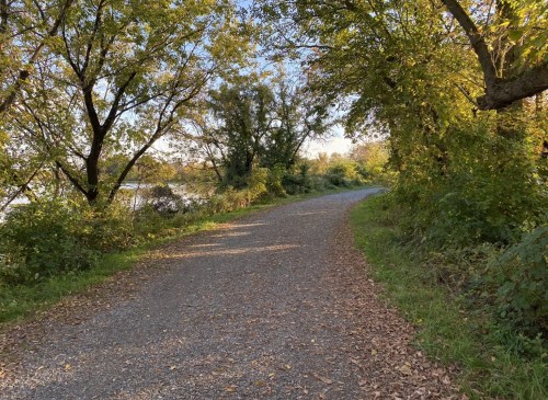 A gravel path lined with trees and autumn foliage, leading alongside a calm body of water.