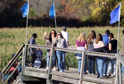 A group of people on a wooden dock, waving and enjoying a sunny day near tall grass and blue flags.
