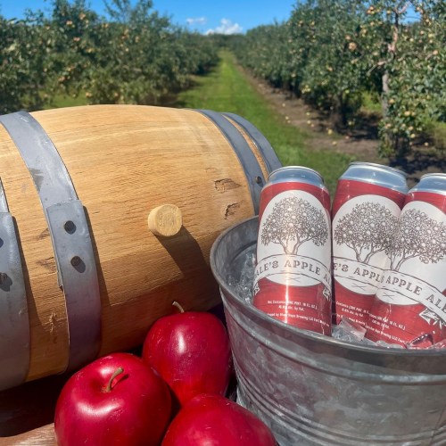A wooden barrel beside a bucket of chilled apple ale cans, with fresh apples and an orchard in the background.