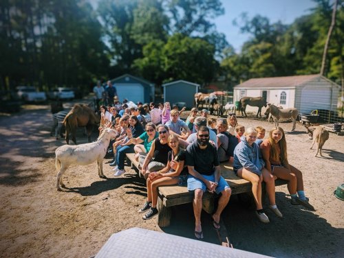 A large group of people sitting on a wooden bench at a farm, surrounded by animals and buildings in a sunny outdoor setting.