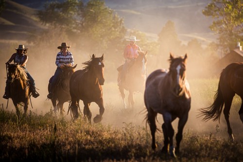 Cowboys and cowgirls riding horses through a dusty field at sunset, with a hazy landscape in the background.