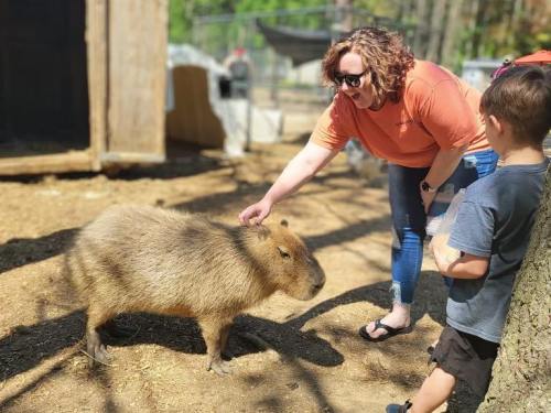 A woman pets a capybara while a child watches, surrounded by a natural outdoor setting.
