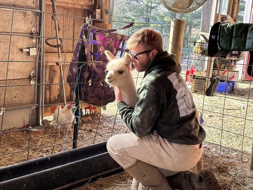 A person kneels in a barn, gently holding a young llama while surrounded by farm equipment and animals.