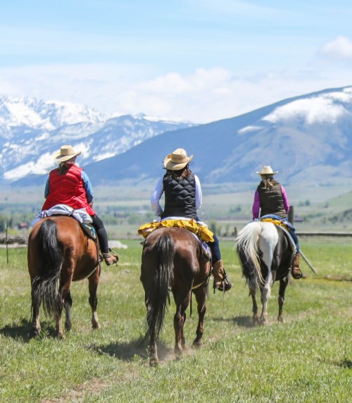 Three horseback riders in hats and vests, riding through a green field with mountains in the background.