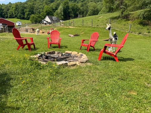 A cozy outdoor setting with four red chairs around a stone fire pit, surrounded by green grass and trees.