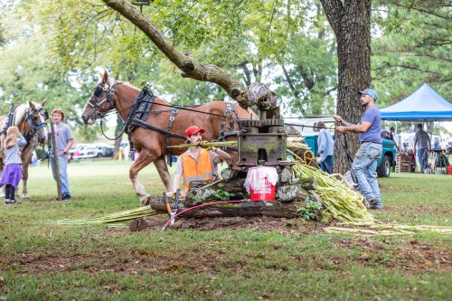 A child in an orange vest watches as a man operates a vintage machine, with horses and people in the background at an outdoor event.