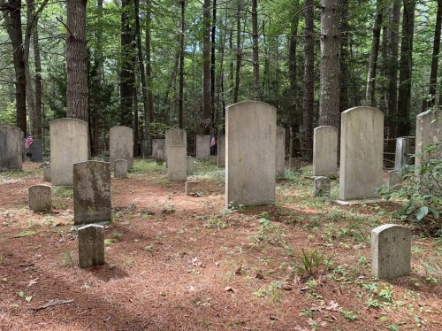 A serene cemetery in a wooded area, featuring several weathered gravestones among pine needles and trees.