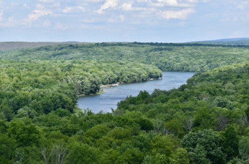 A serene river winding through lush green forests under a partly cloudy sky.