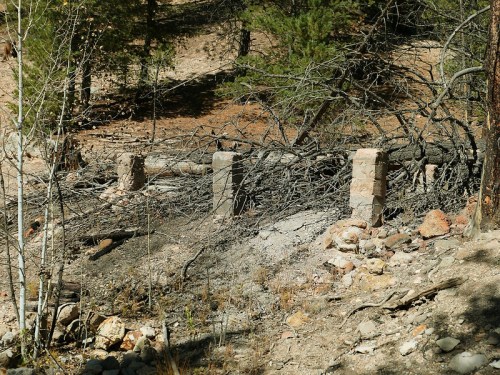 A weathered stone structure surrounded by fallen branches and sparse trees in a forested area.