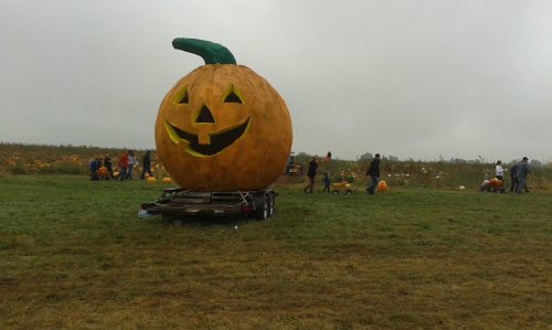 A large carved pumpkin with a smiling face sits on a trailer in a pumpkin patch, with people picking pumpkins nearby.
