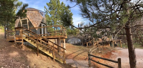 A wooden cabin with a staircase, surrounded by trees and a gravel path, in a natural setting.