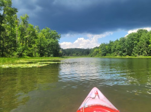 A red kayak on calm water, surrounded by lush green trees and a cloudy sky.